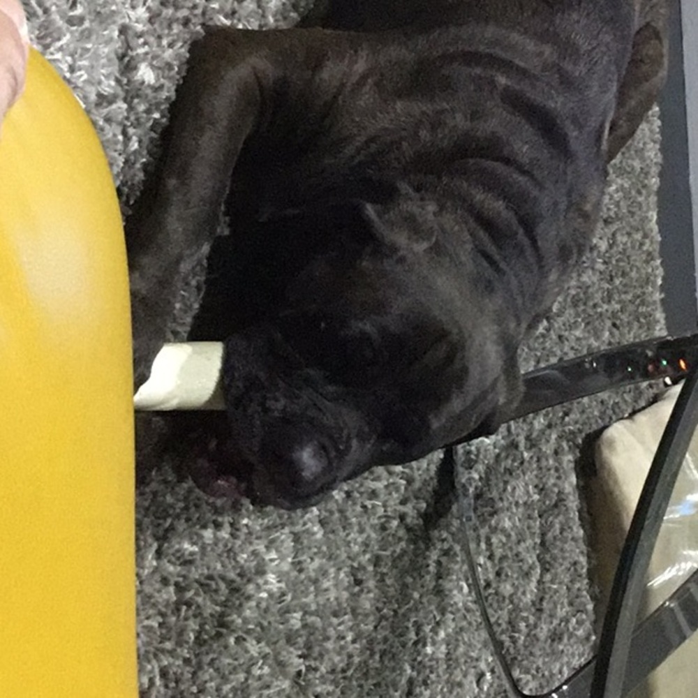 Meet your Posher, Luca